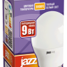 Лампа светодиодная шар PLED- SP G45  9W E27 3000K-E (9W=75Вт, 820Lm) 230/50 Jazzway