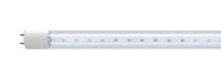 Лампа светодиодная  PLED T8 16W G13 CL 1200 Agro  (для растений) Jazzway