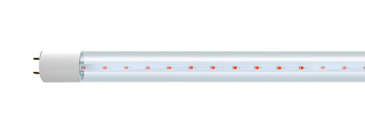 Лампа светодиодная  PLED T8 16W G13 CL 1200 Agro  ( для растений) Jazzway